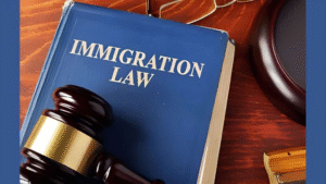 Easy Immigration Solutions: Your Trusted Lawyer Guide