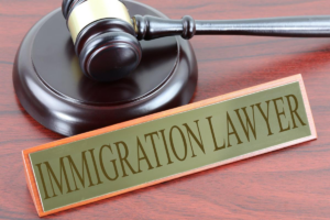 Immigration Attorneys For Your Case